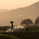 Image for article titled Could Rising CO2 Levels Trigger a Nutritional Crisis?